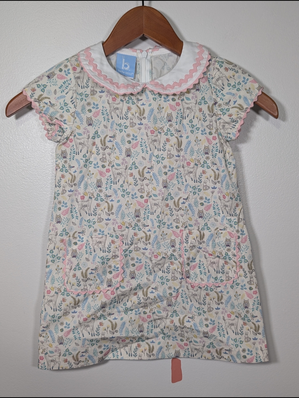Bella Bliss Girls Floral Woodland Dress with Pink Trim